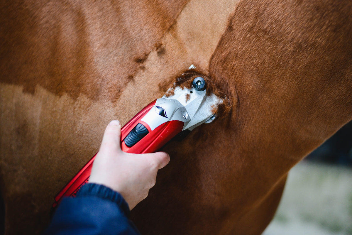 Liveryman Clipper Care Kit