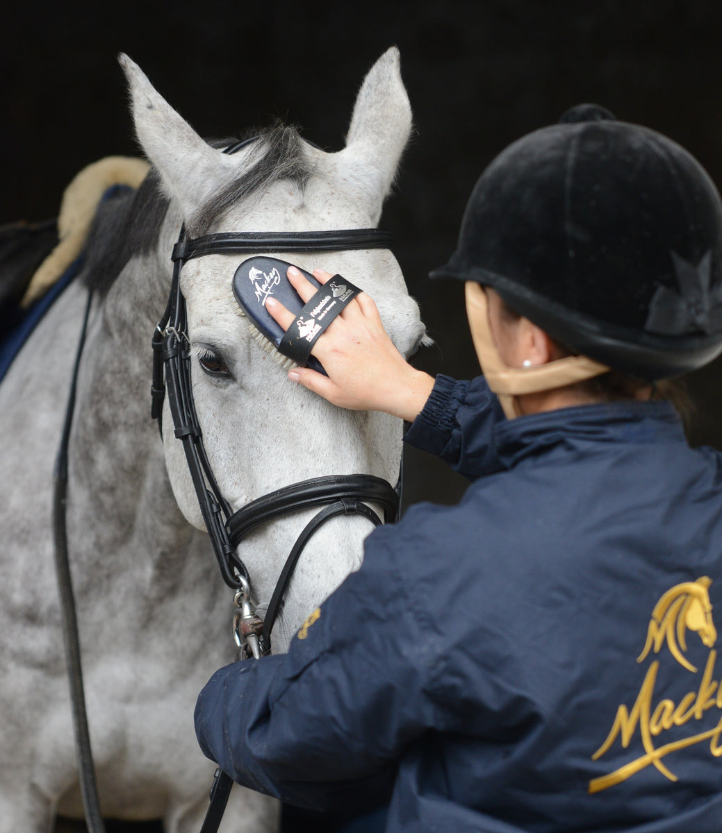 Grooming & Accessories – Bits and Bridles