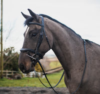 MACKEY LEGENDS APOLLO BRIDLE