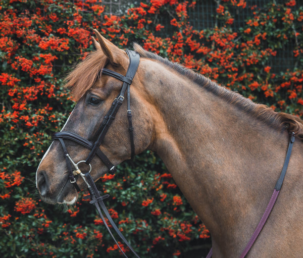 MACKEY LEGENDS ATHENA BRIDLE