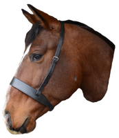 MACKEY CLASSIC WIDE FLAT CAVESSON NOSEBAND