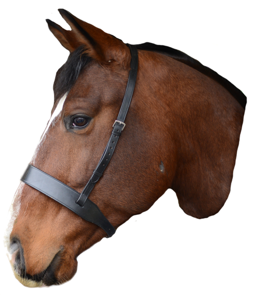 MACKEY CLASSIC WIDE FLAT CAVESSON NOSEBAND