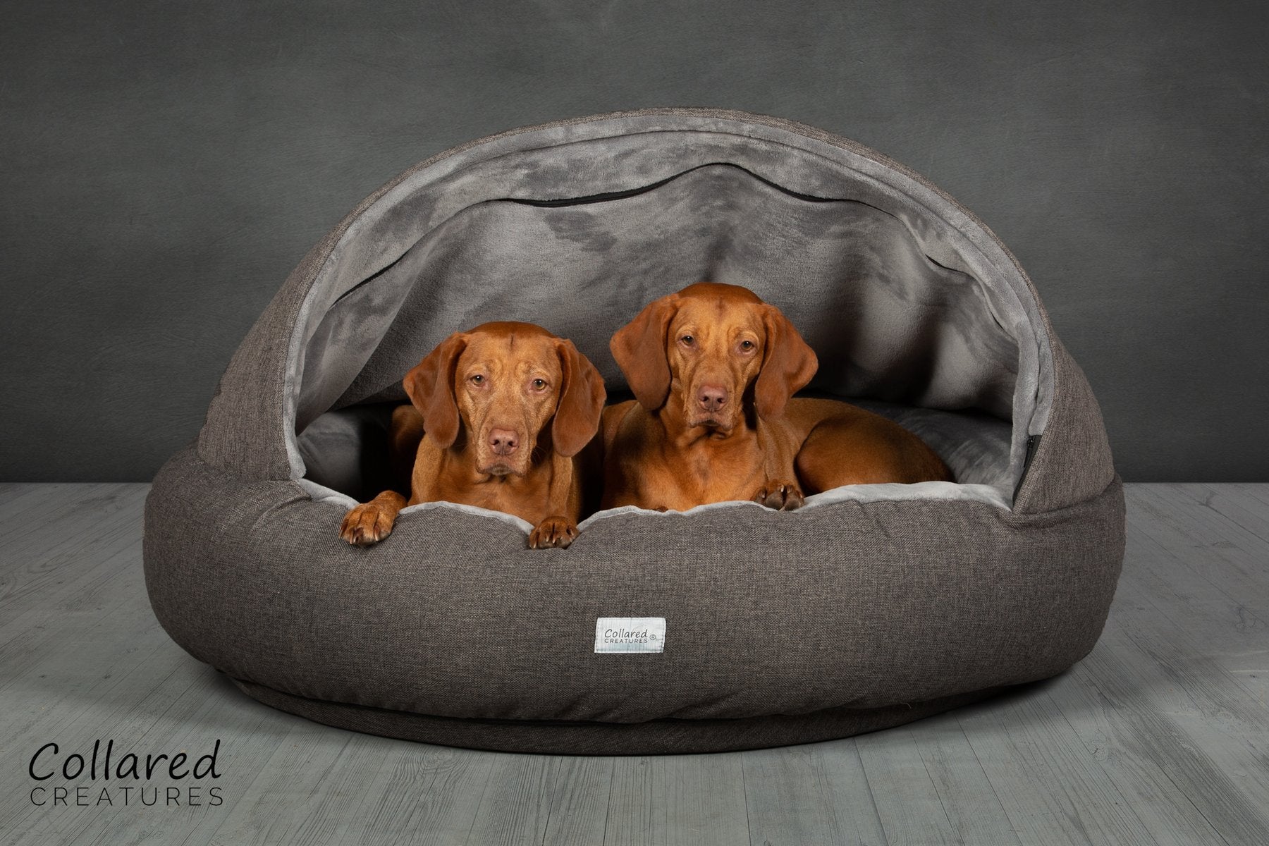 Cocoon dog bed hotsell