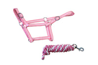 ECONOMY HEADCOLLAR & LEADROPE SET