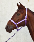 ECONOMY HEADCOLLAR & LEADROPE SET