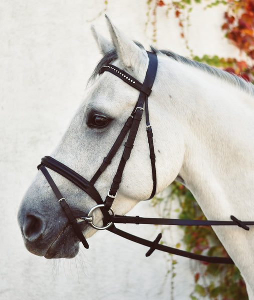 EQUISENTIAL BLING BRIDLE (Black)