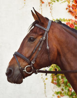 EQUISENTIAL BRIDLE