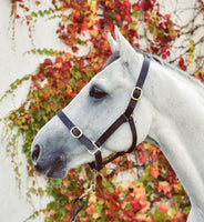 EQUISENTIAL LEATHER HEADCOLLAR