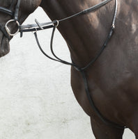 EQUISENTIAL RUNNING MARTINGALE