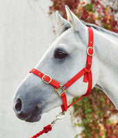 EQUISENTIAL NYLON HEADCOLLAR