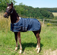 WALDHAUSEN TURNOUT RUG FOR FOALS