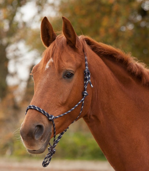 KNOTTED HALTER