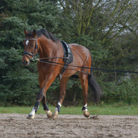 LUNGING SYSTEM Cob/Full