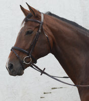 Mackey Classic Flash Bridle