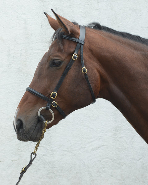 MACKEY CLASSIC IN-HAND BRIDLE