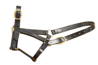 MACKEY CLASSIC LEATHER HEADCOLLAR