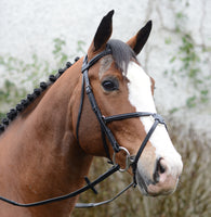 MACKEY CLASSIC GRACKLE BRIDLE