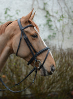 Mackey Legend Flash Bridle