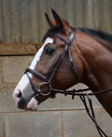 Mackey Legend Flash Bridle