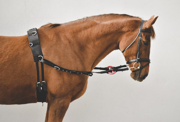 NYLON SIDE REINS