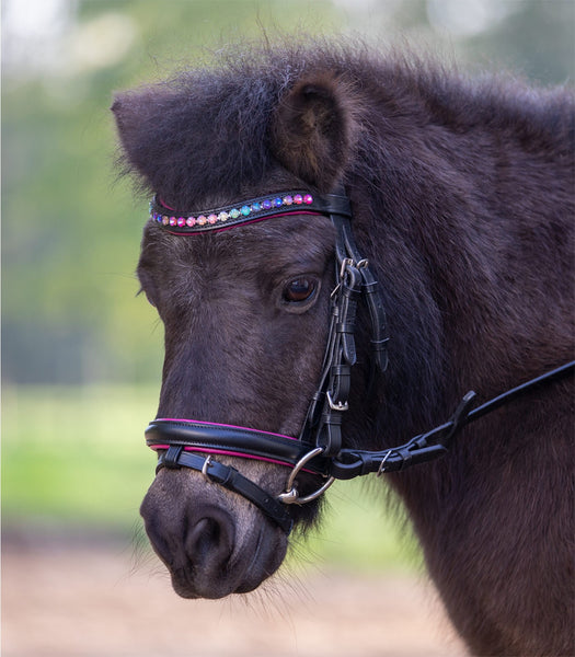 STAR BRIDLE PINKY (Black)