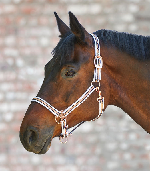 ROSE SHINE HALTER