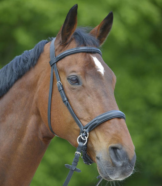 STAR BITLESS BRIDLE (Black)