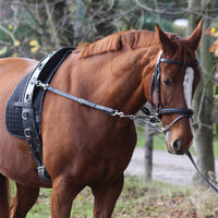 GENTLE WAY RIDING & LUNGING SYSTEM