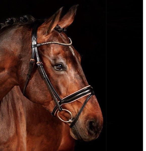 X-LINE ROSE BRIDLE (Black)