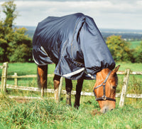 WICKLOW TURNOUT