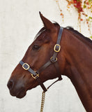 MACKEY CLASSIC LEATHER HEADCOLLAR